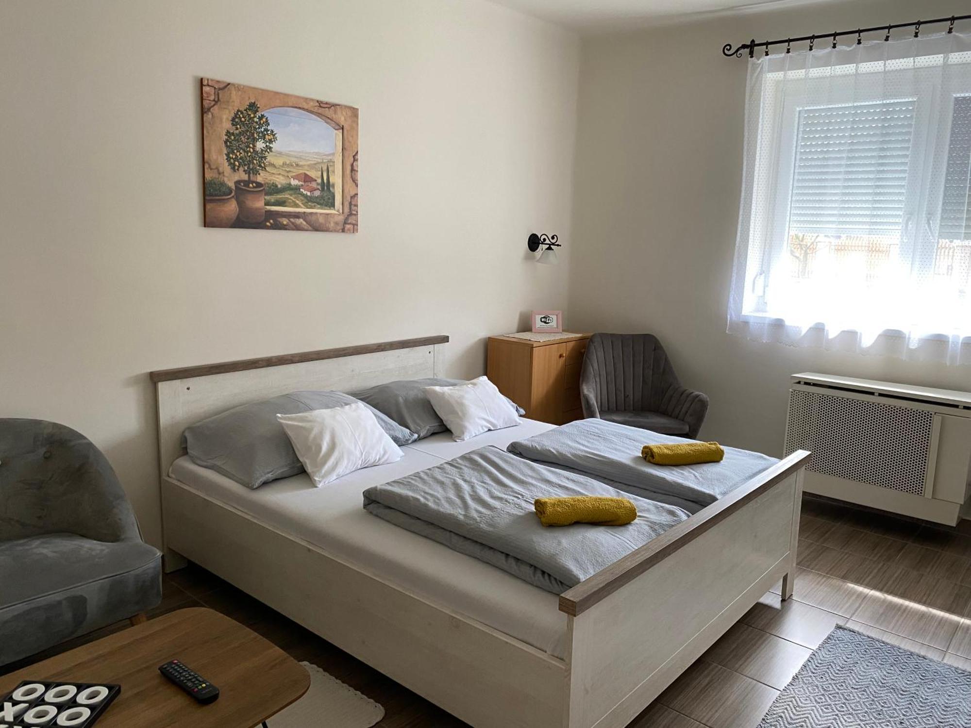 Sara Vendeghaz Apartment Hajduboszormeny Exterior photo